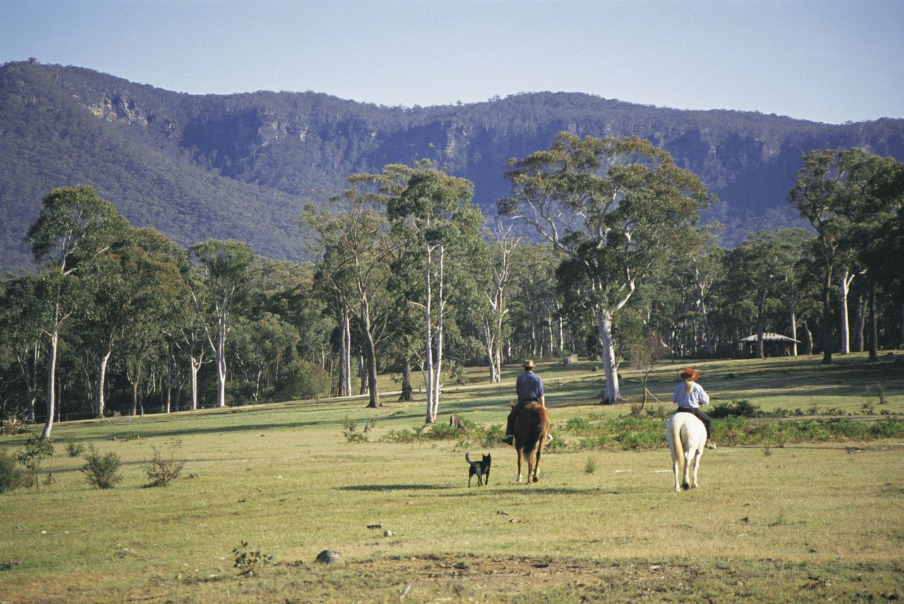 Horseridng in Megalong Valley