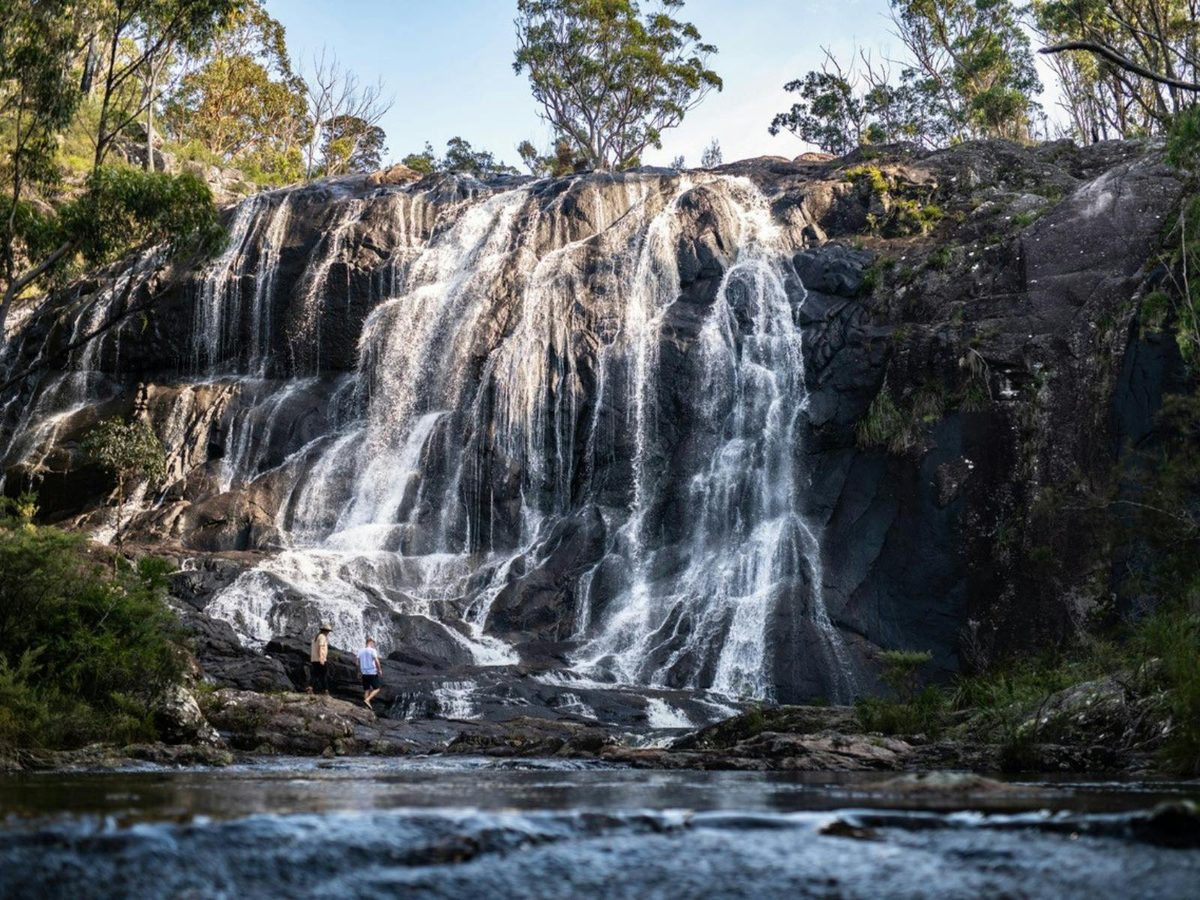 Tenterfield