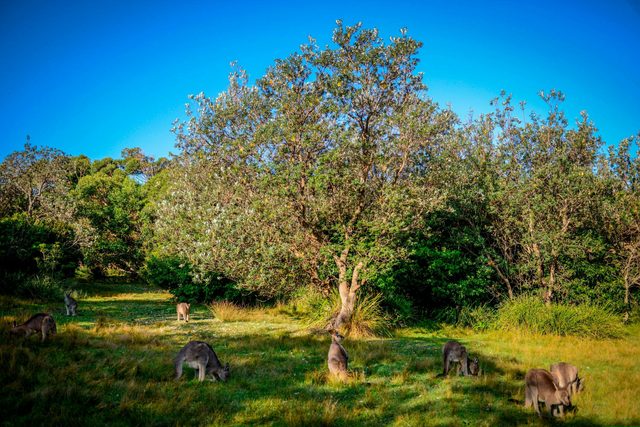 Pretty Beach Shoalhaven