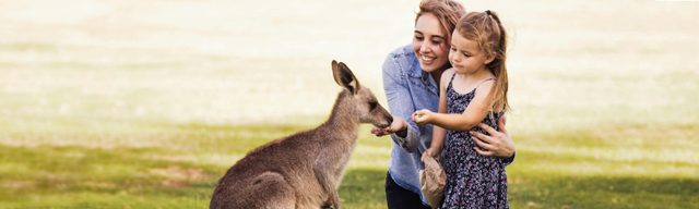 Salt Ash and Bobs Farm