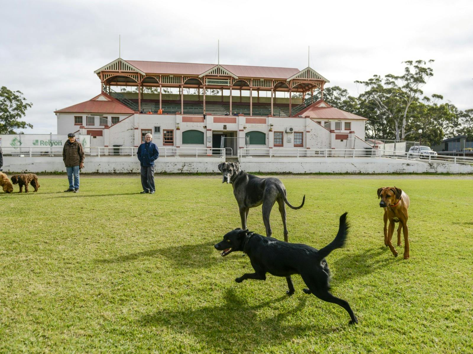 Nowra Showground