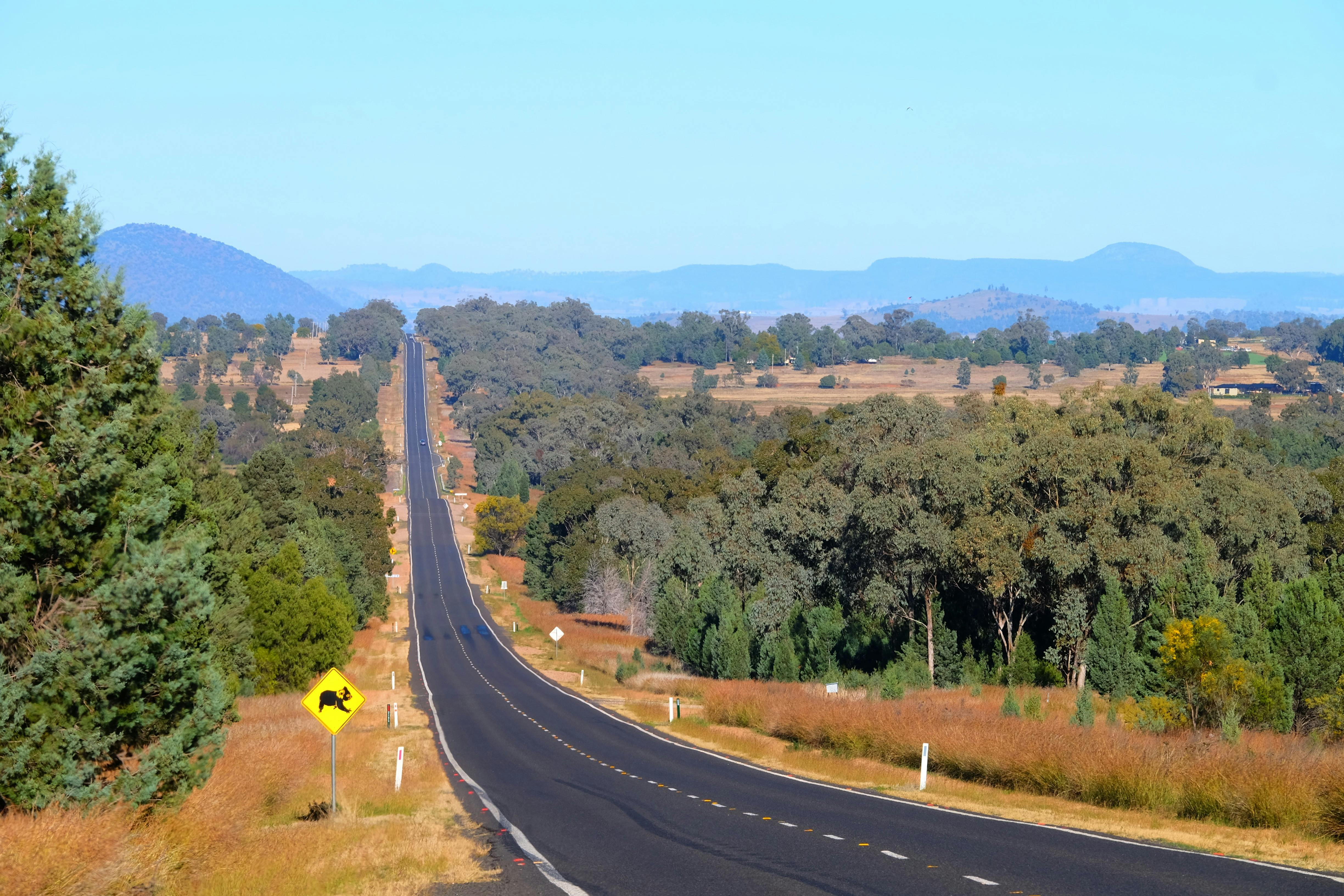 Wide Open Plains to Mullaley