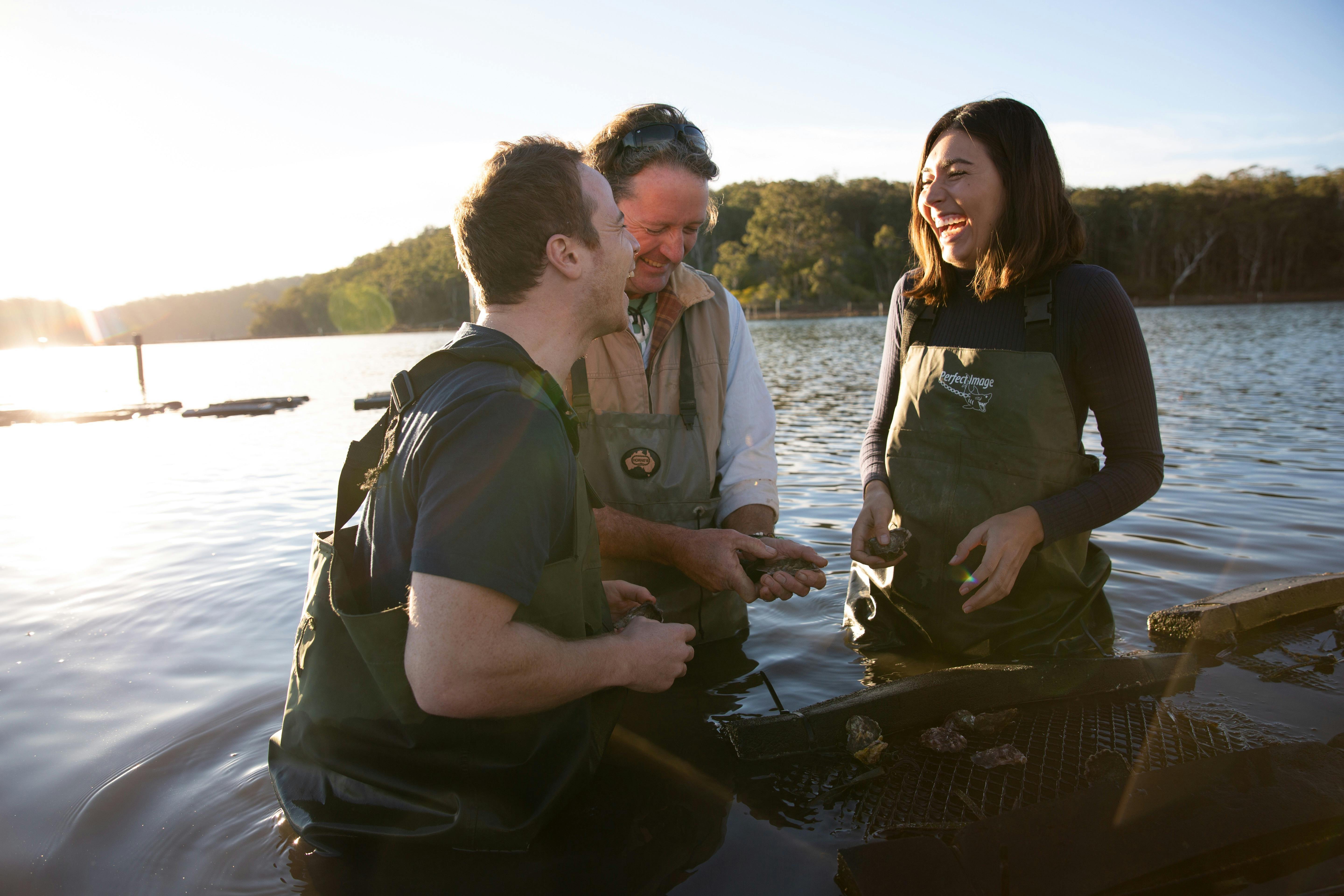 Captain Sponge's Magical Oyster Tours