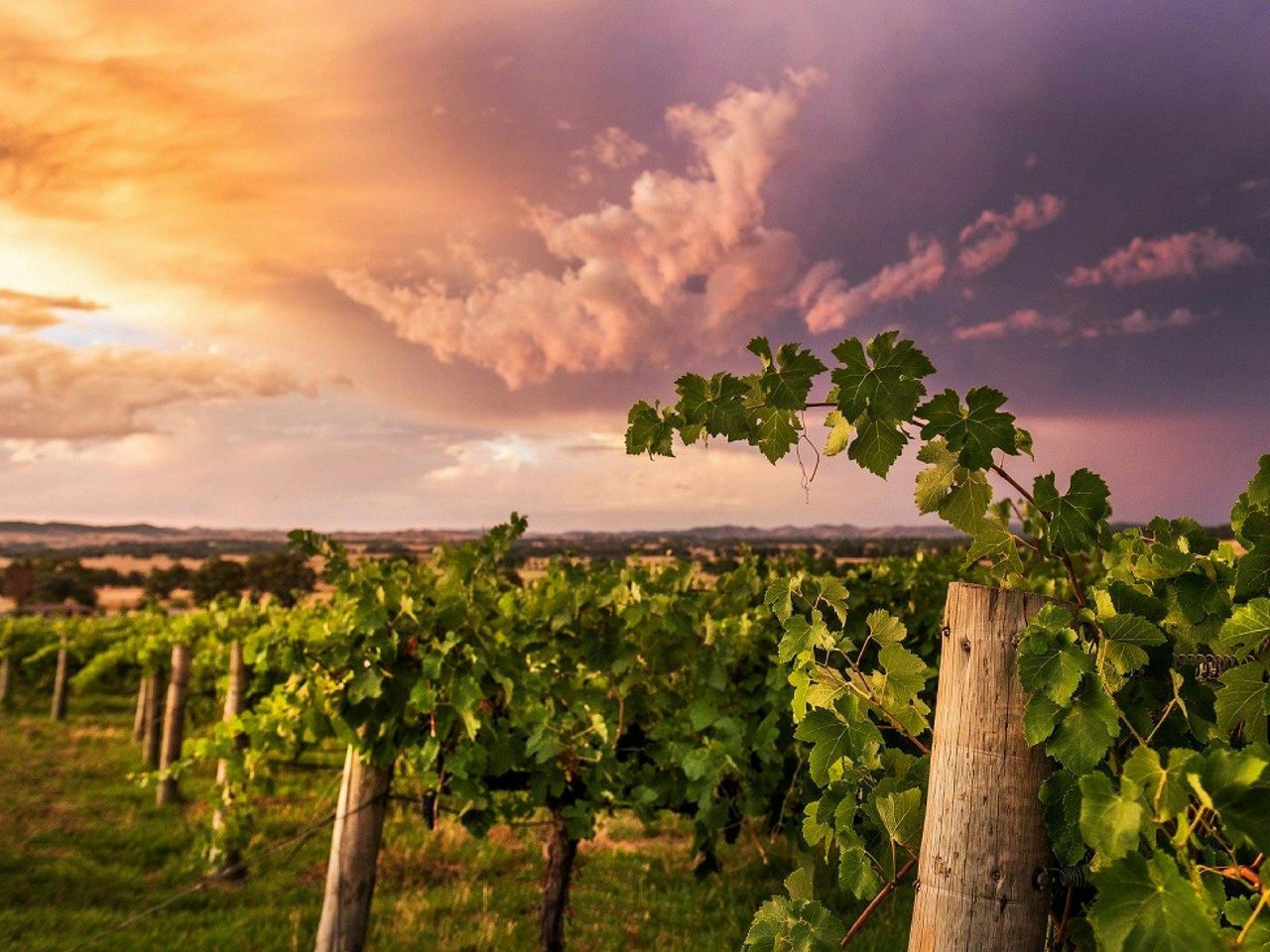 Mudgee