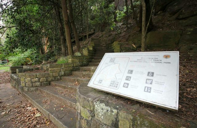 Birrawanna Walking Track