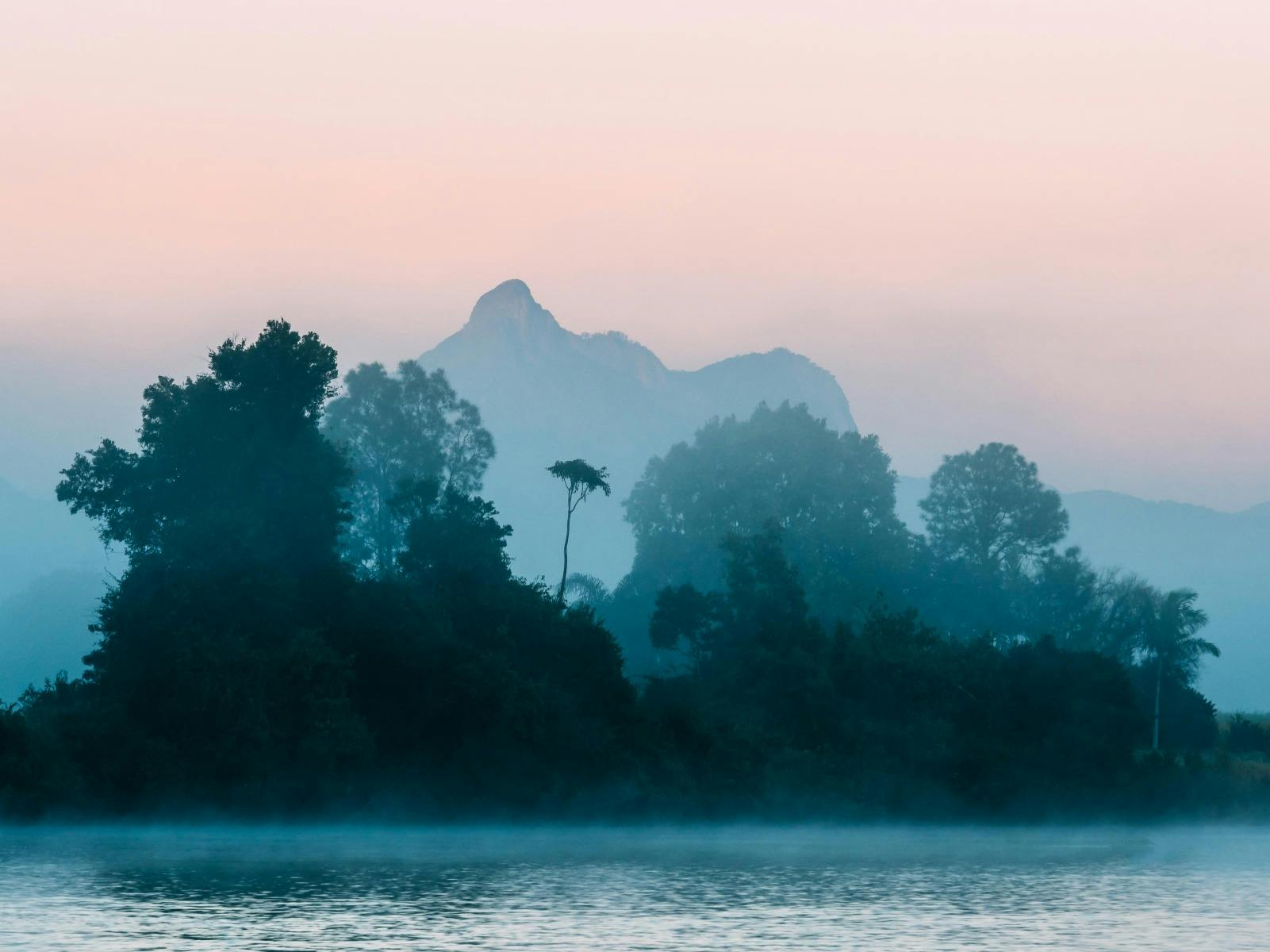 Wollumbin Mount Warning from Tumbulgum