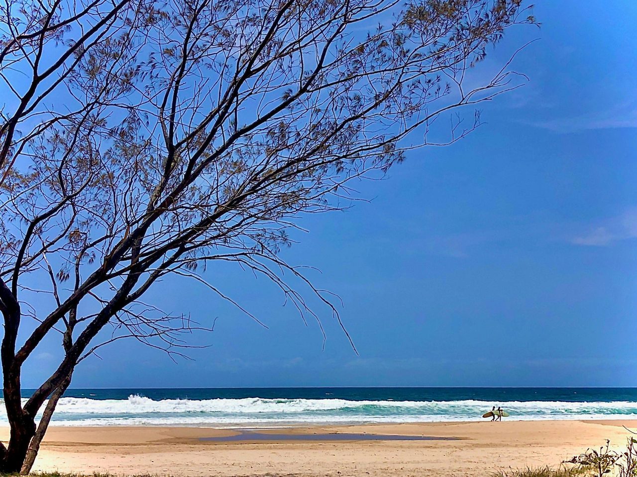 Pottsville Beach