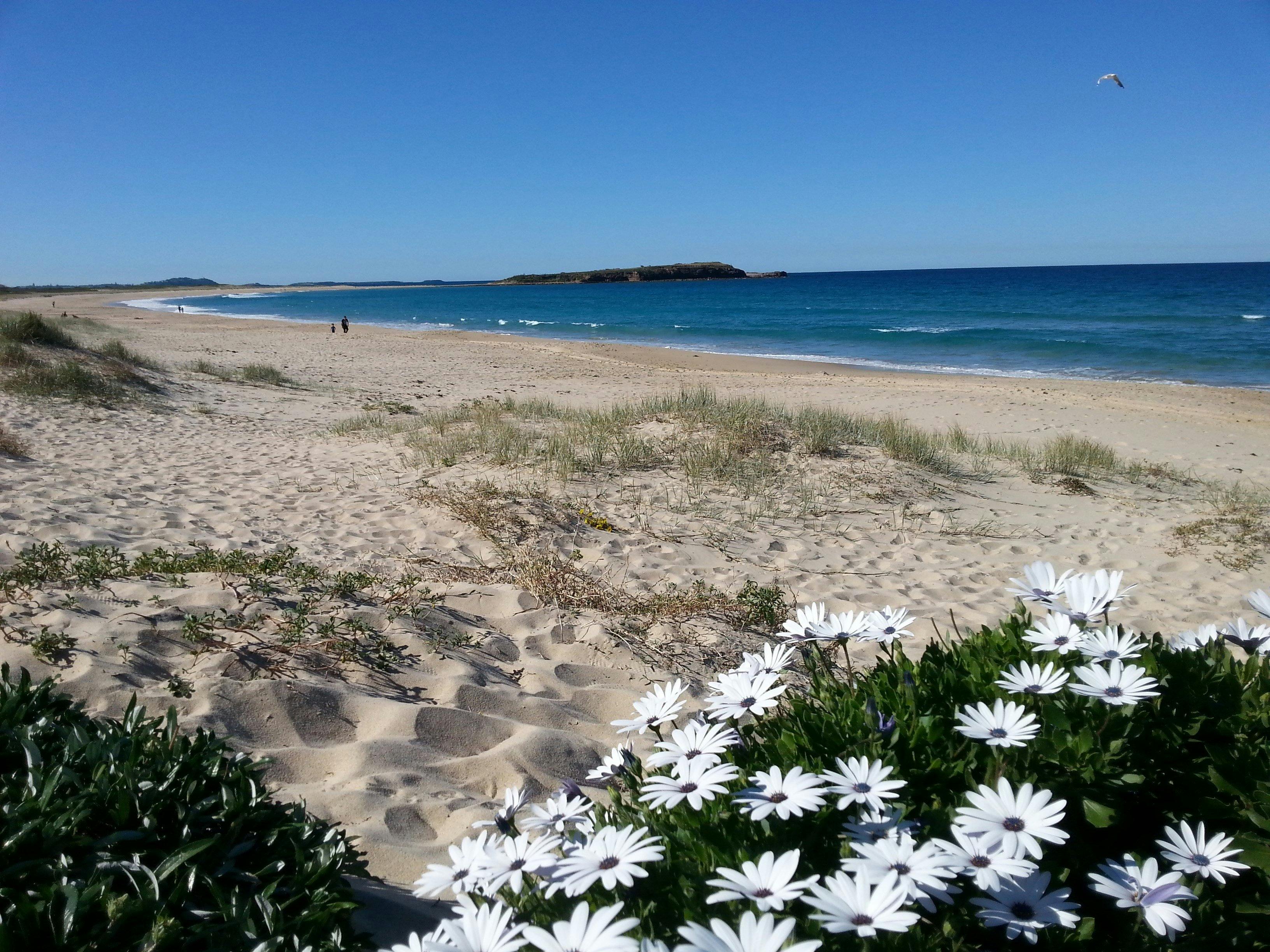 Warilla Beach - Windang Island
