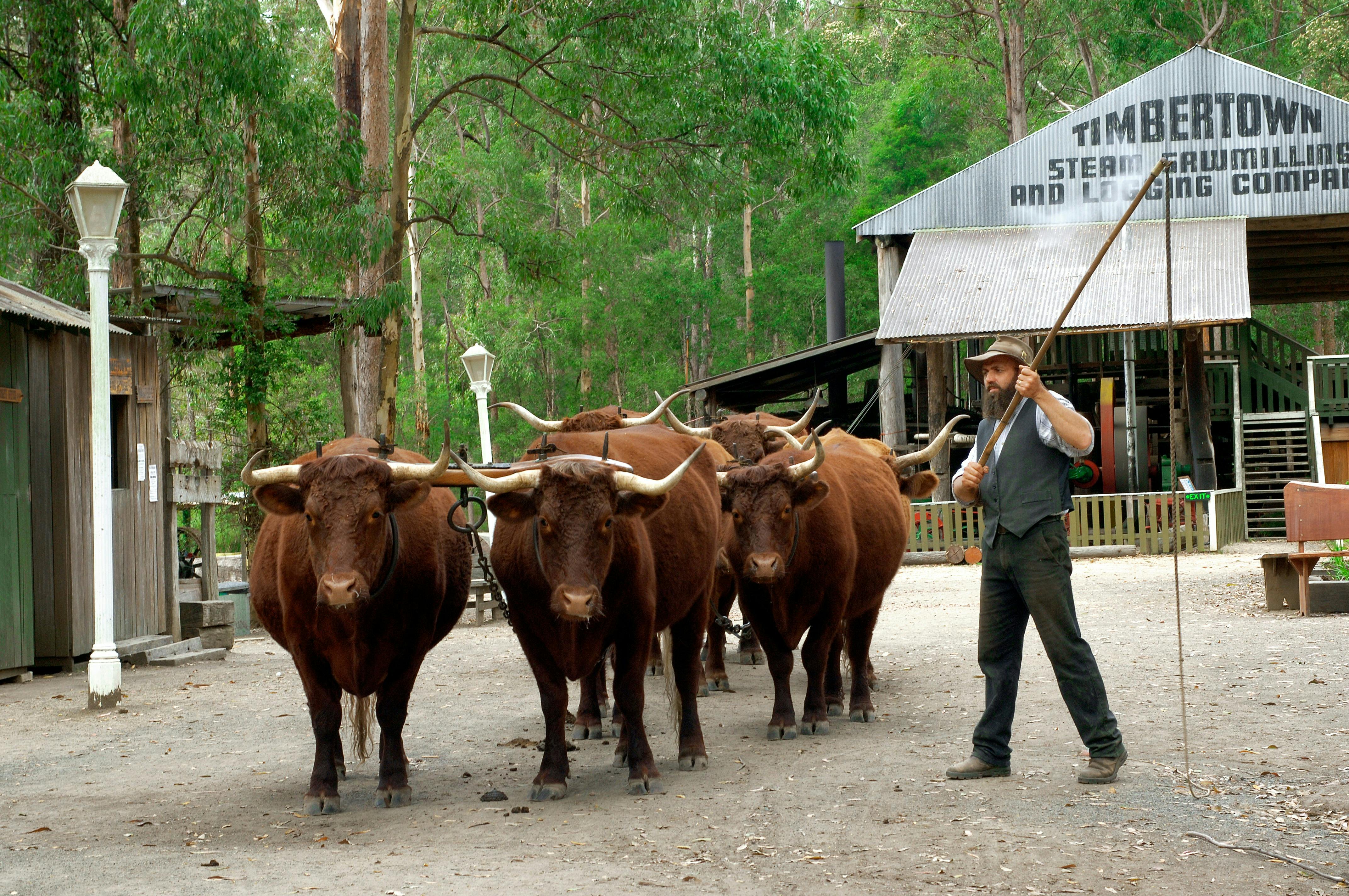Timbertown Heritage Theme Park
