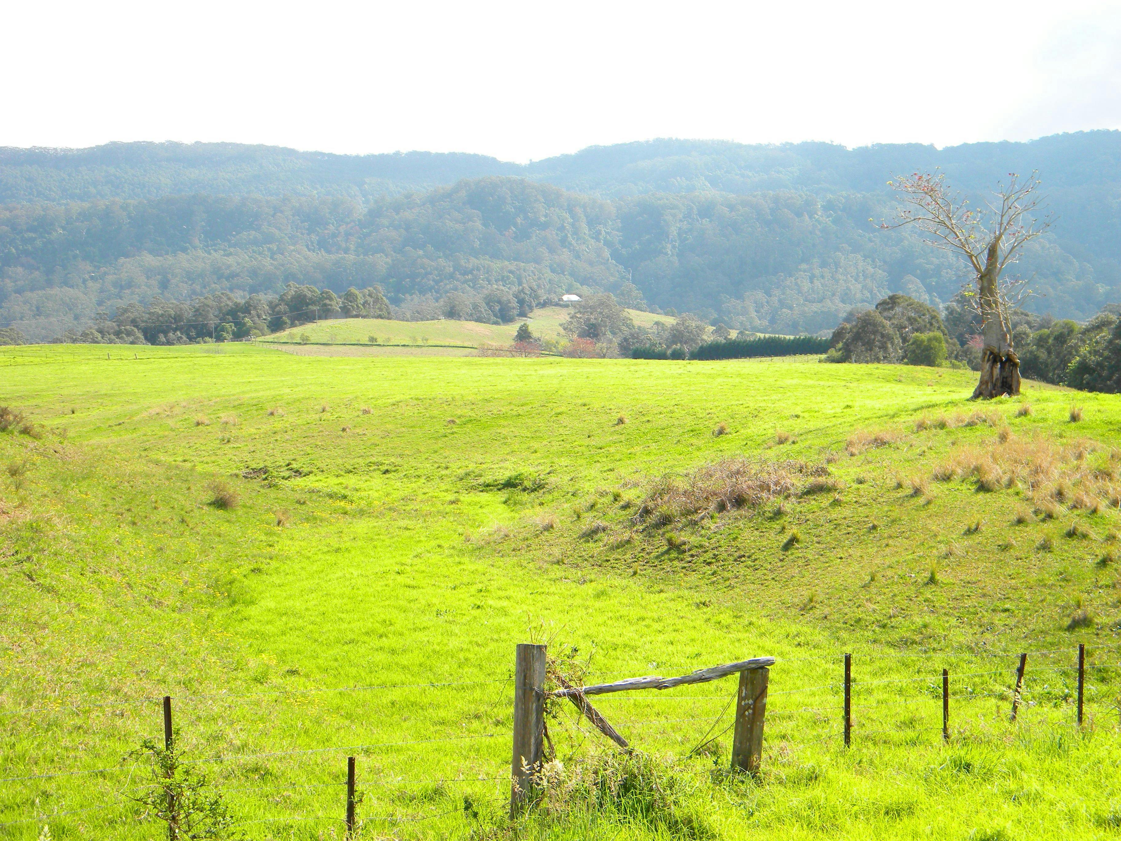 West Cambewarra, Shoalhaven NSW