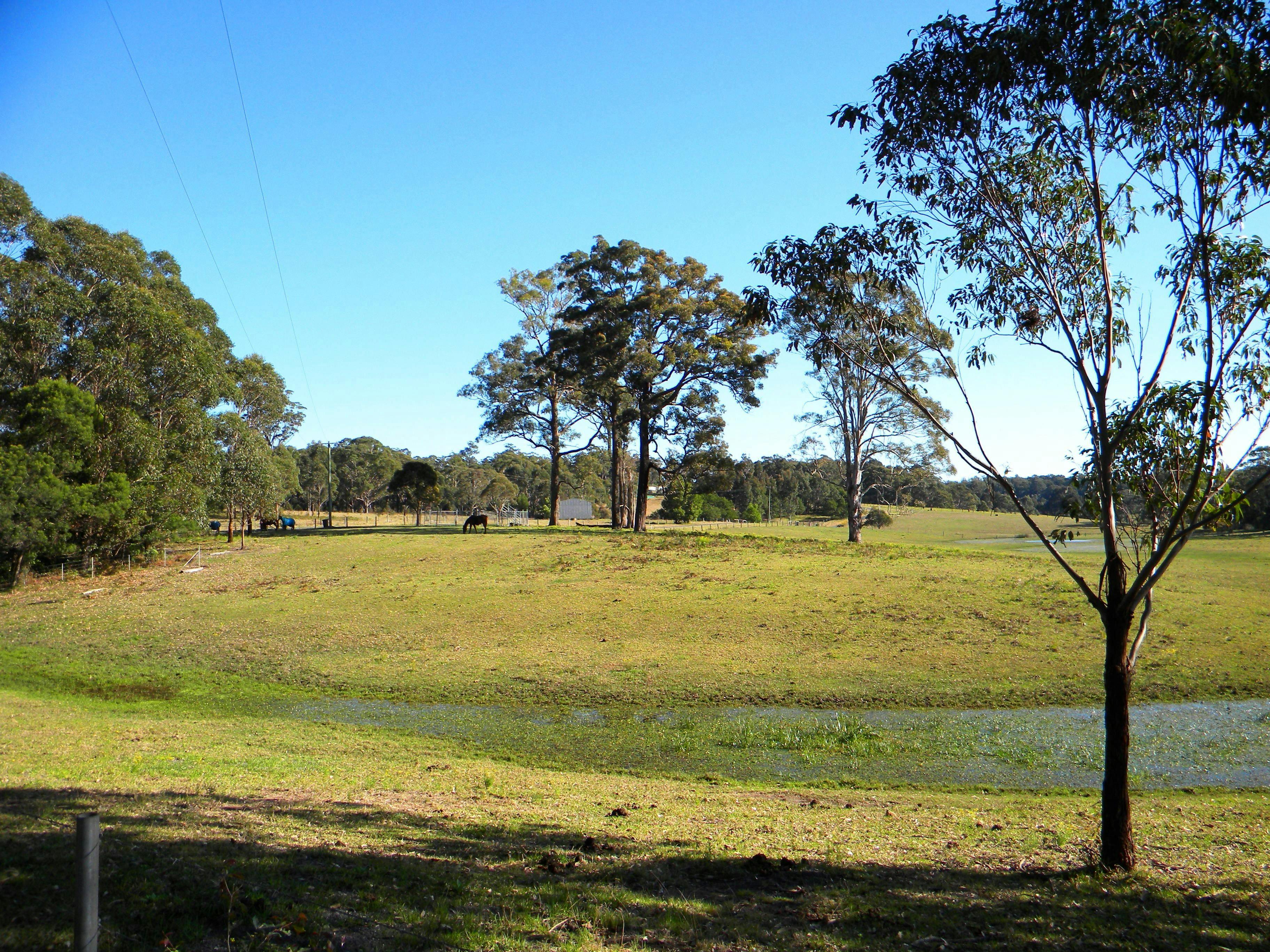Rural Scenery at Woollamia on the South Coast of NSW.