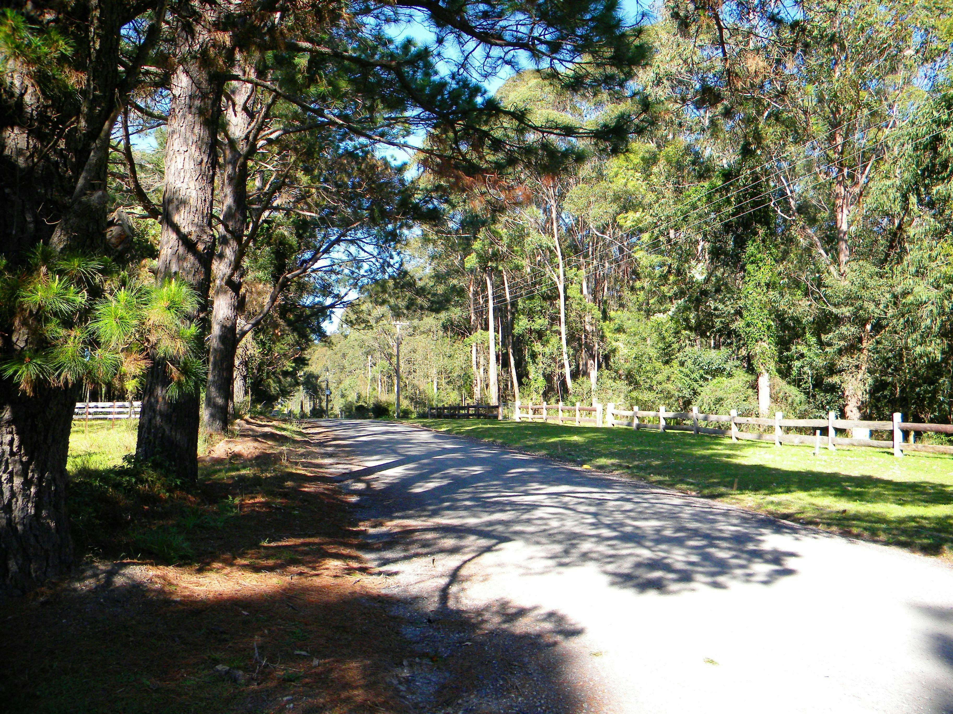 Rural Roads, Woollamia, Shoalhaven, South Coast, NSW/