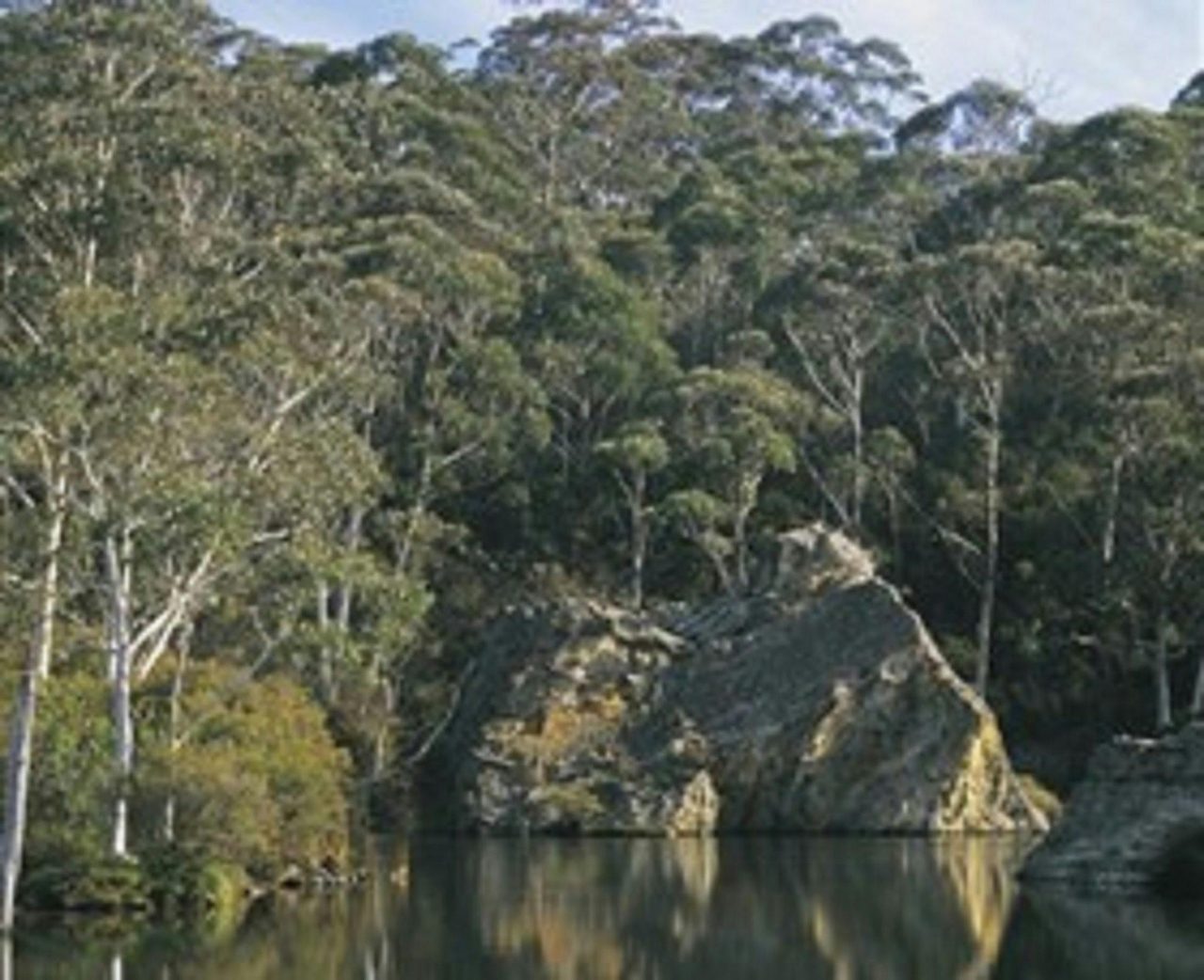 Woodford