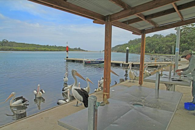 Sussex Inlet