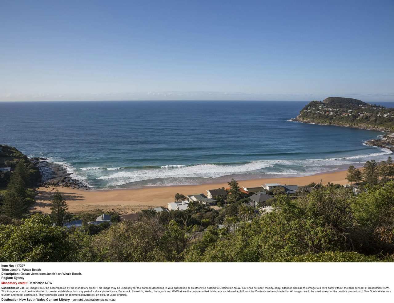 Whale Beach