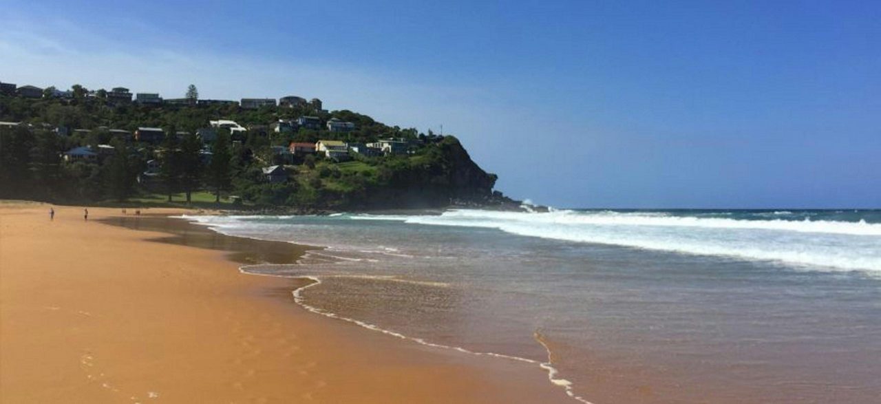 Whale Beach