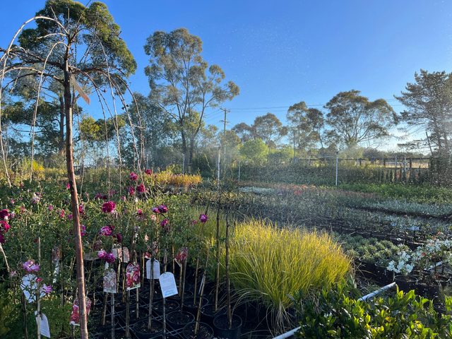 Wilton and Douglas Park