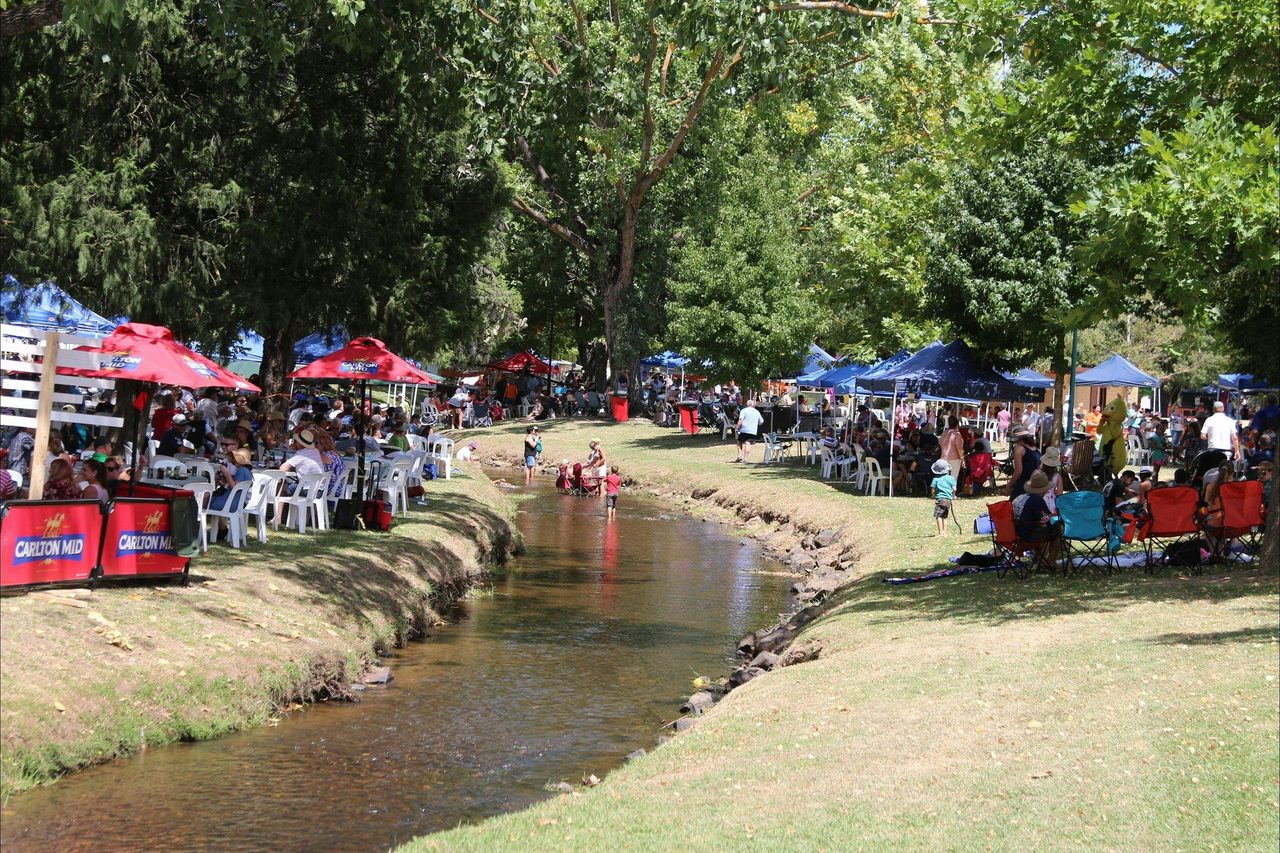Tumbafest 2016