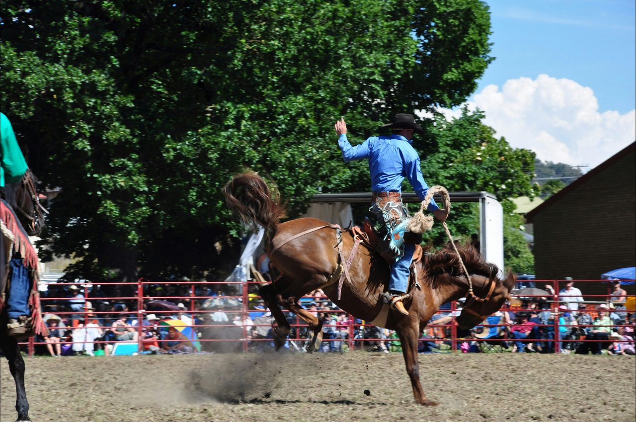 Tumbarumba Rodeo