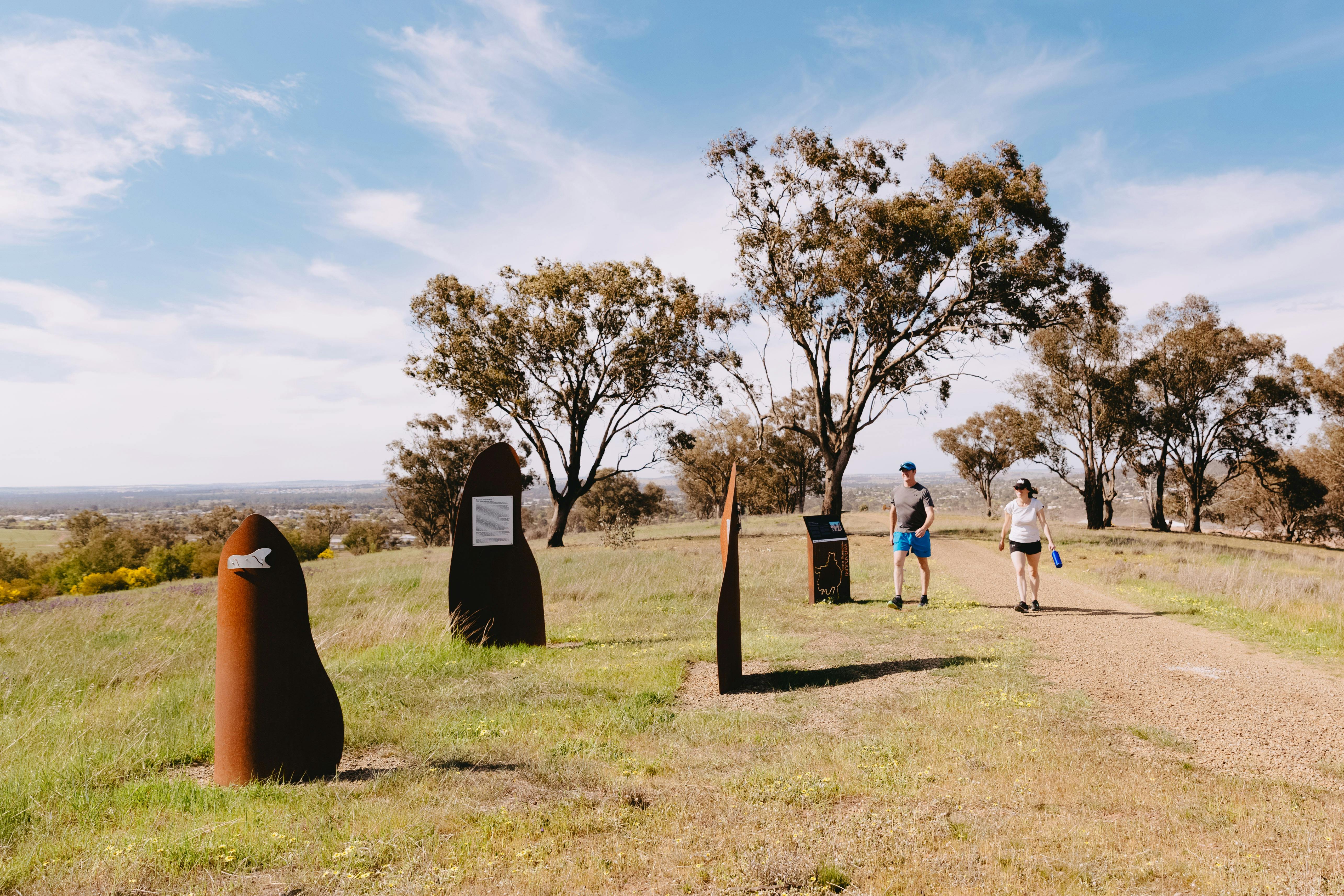 Sculptures at Birramal Conservation area