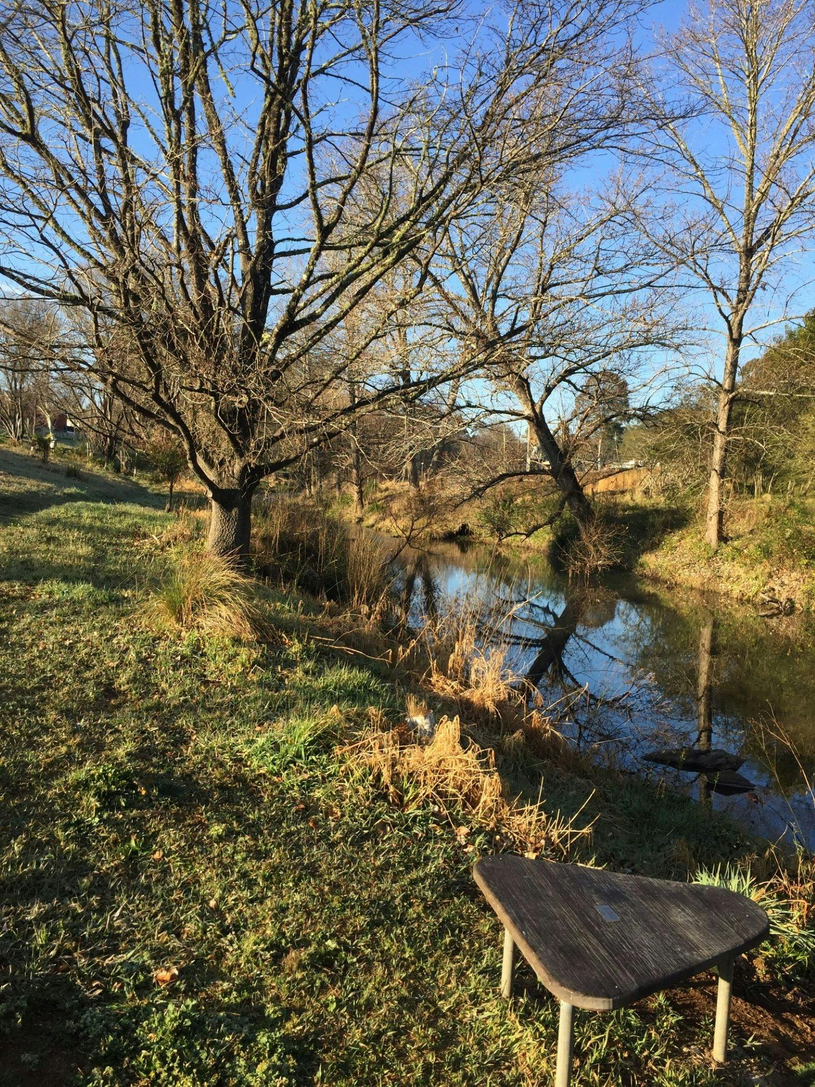 Bielsdown River Walk