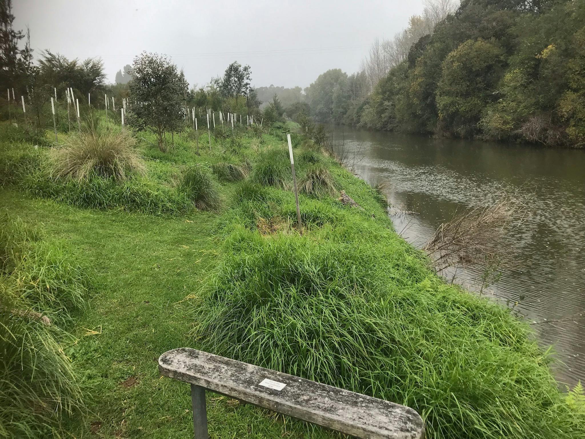 Seating along Bielsdown River Walk