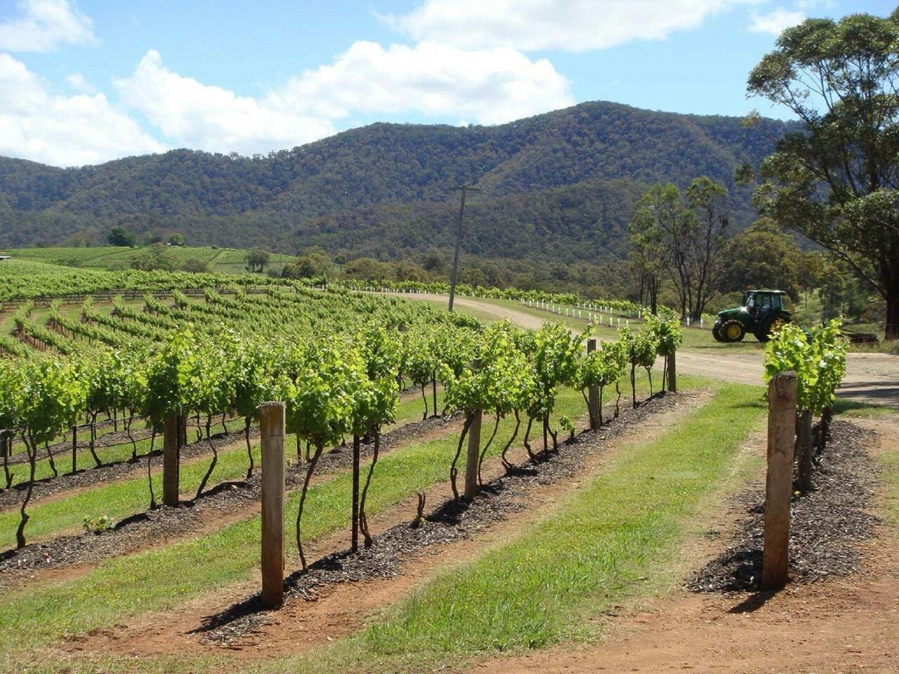 Wollombi 