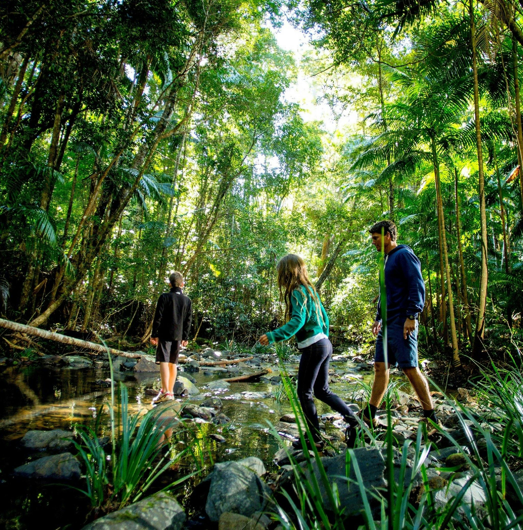 Yarrahapinni National Park