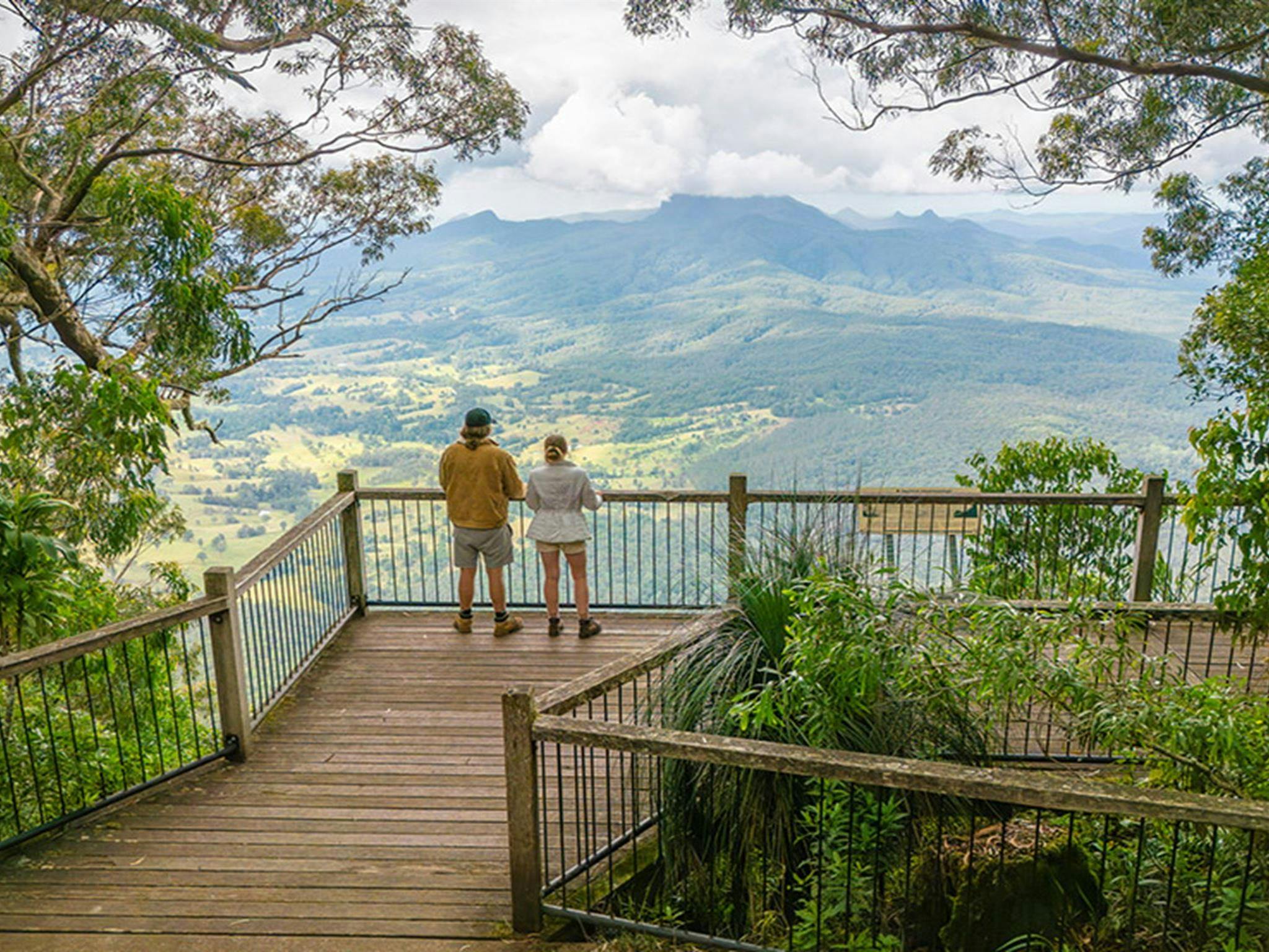 2 visitors at the viewpoint surrounded by trees at Blackbutt lookout picnic area in Border Ranges