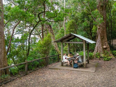 Blackbutt lookout picnic area