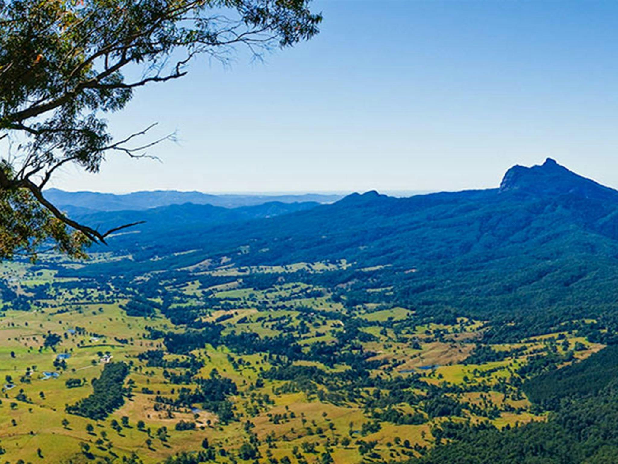 Blackbutt lookout picnic area, Border Ranges National Park. Photo: Stephen King/OEH