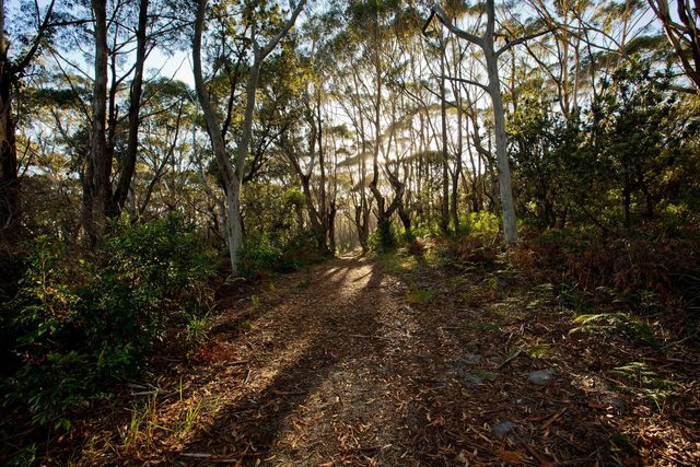 Booderee National Park: Munyunga Waraga Dhugan Walking Trail