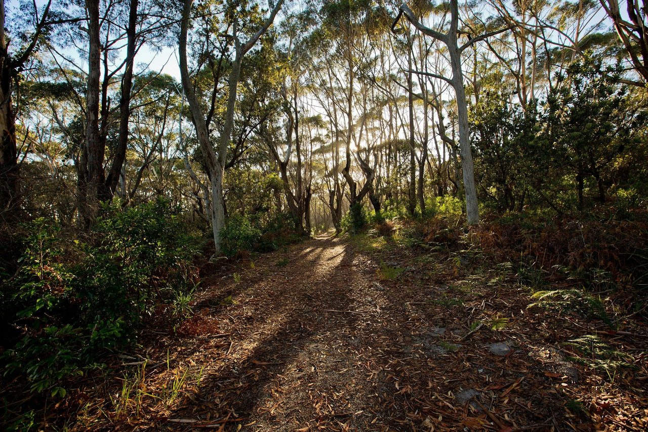 Munyunga Waraga Dhugan Walking Trail, Booderee National Park