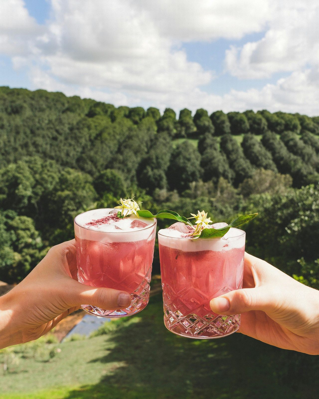 seasonally crafted cocktails