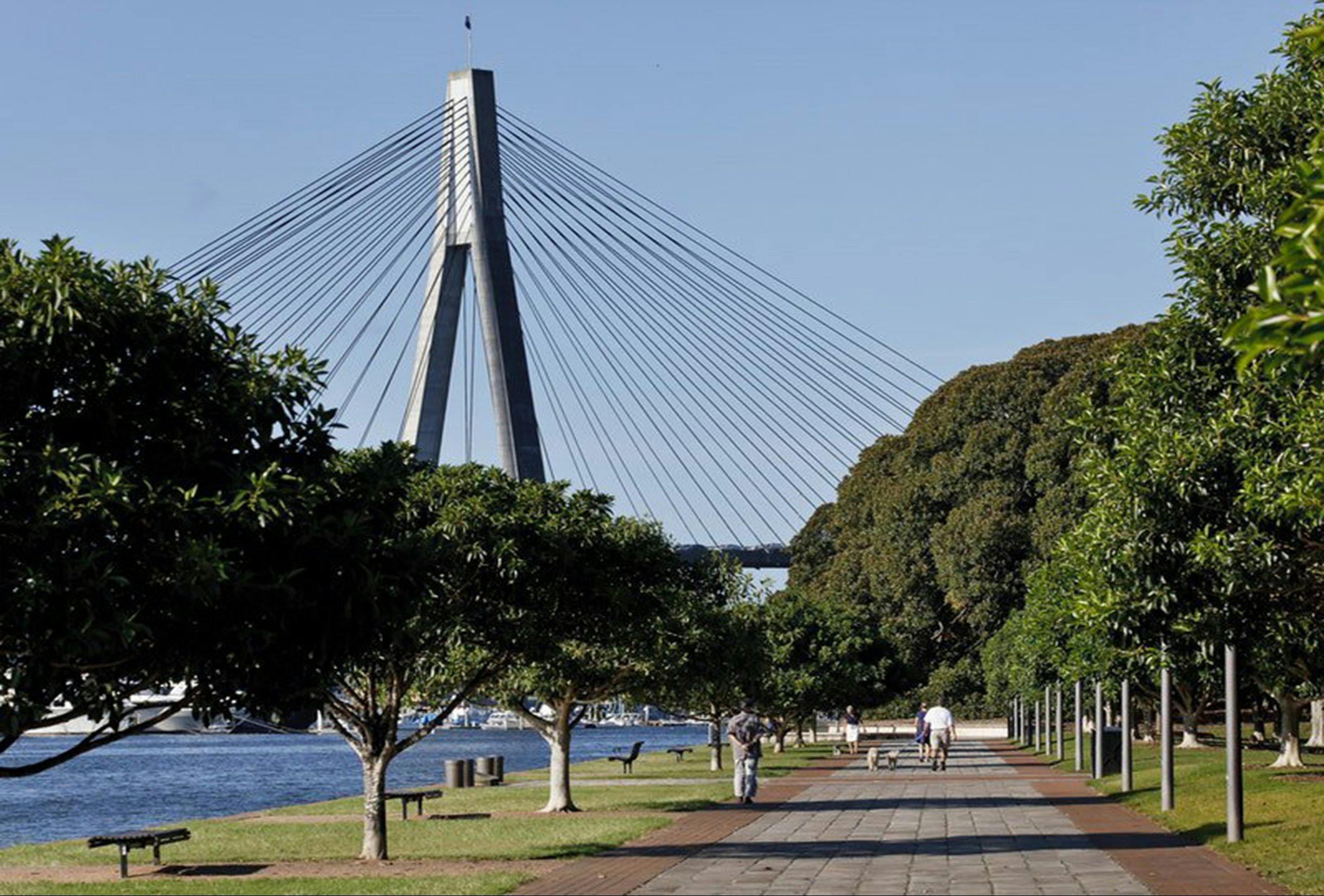 Blackwattle Bay Park