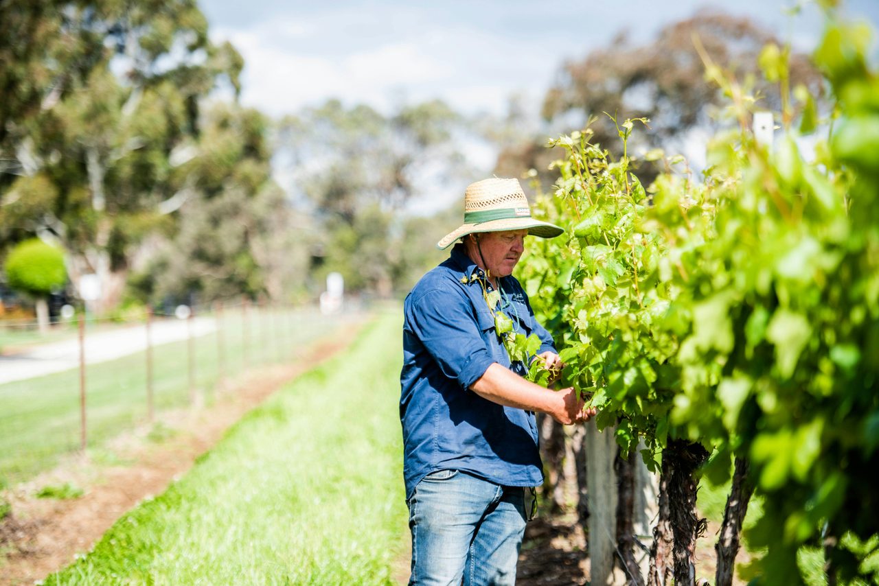 Grapegrower Brendan