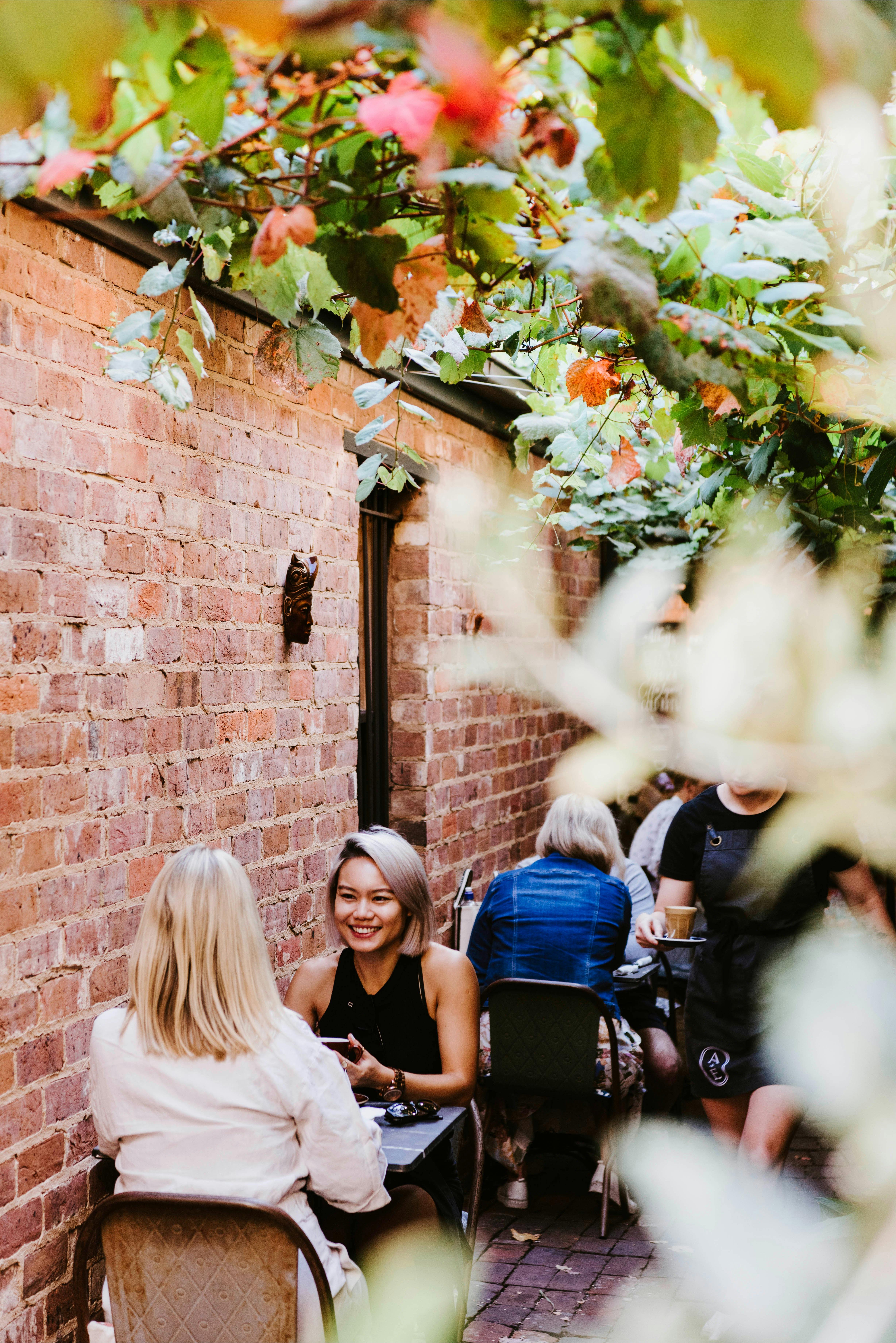 Alby & Esther's courtyard