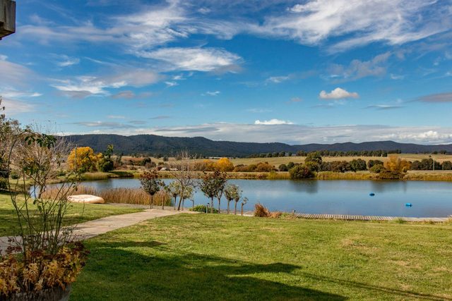 Allegiance Wines Tumbarumba
