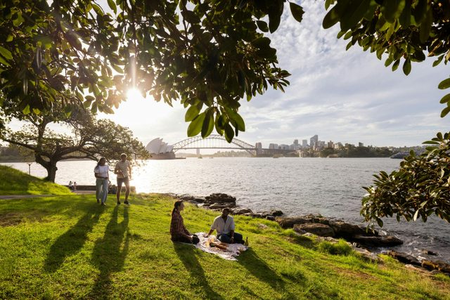 AmazingCo's Mystery Picnic