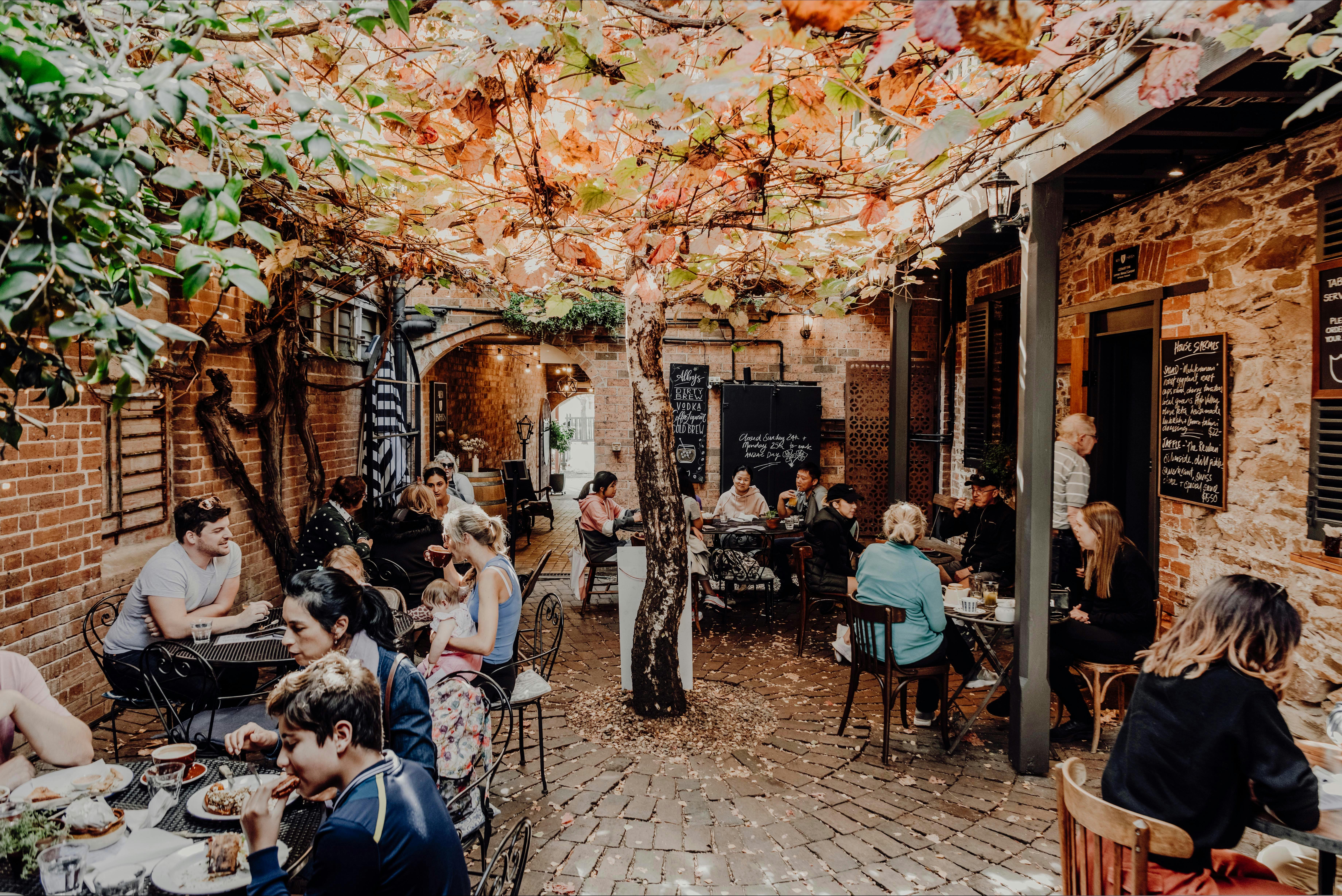 Vine covered courtyard