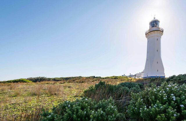 Bittangabee Bay to Green Cape Walking Track