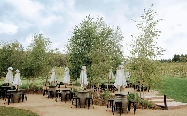 Artemis Wines