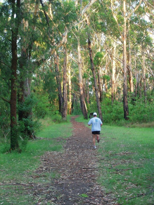 Blackbutt Forest Reserve