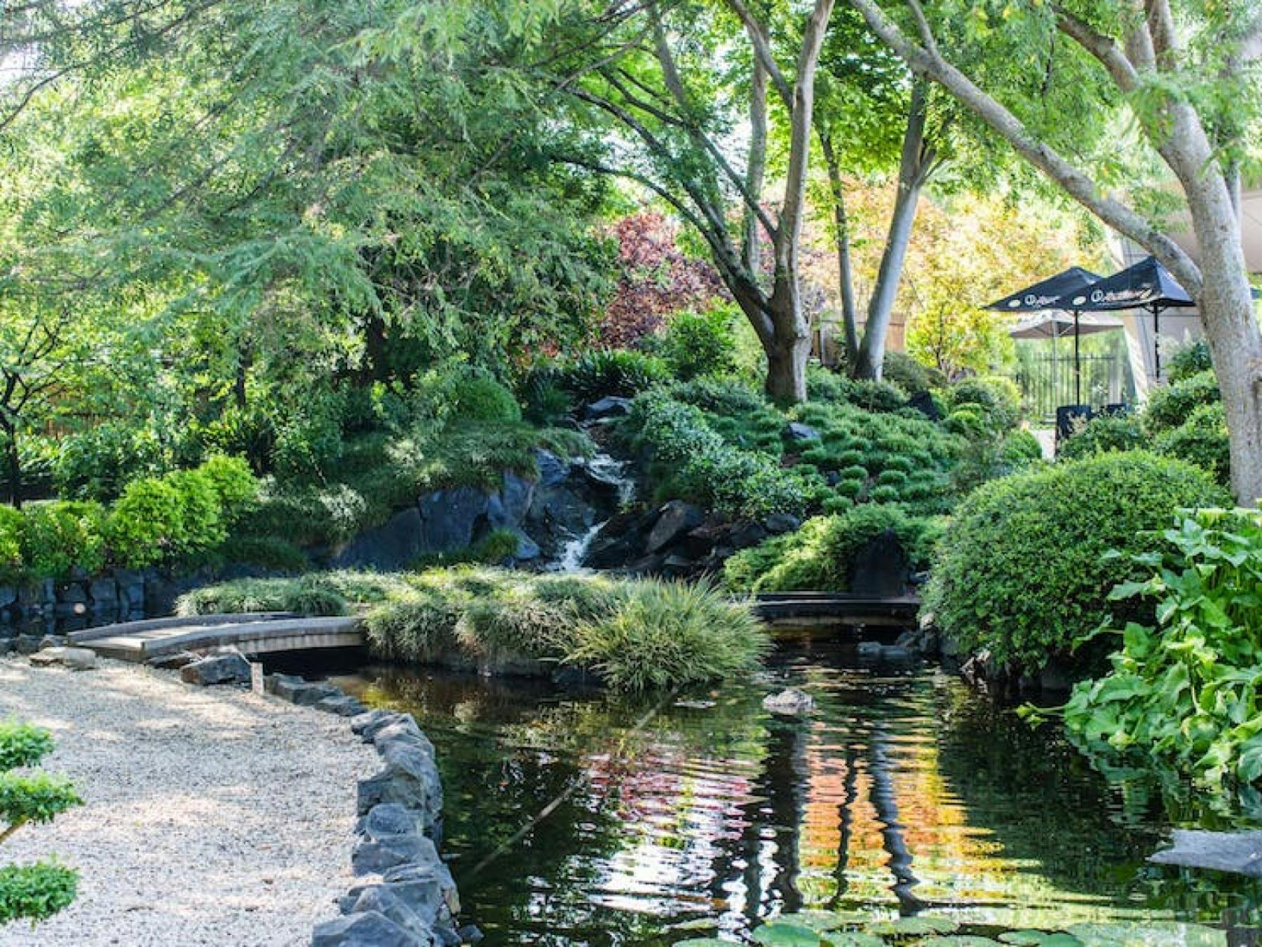 Japanese Garden & Art Cafe