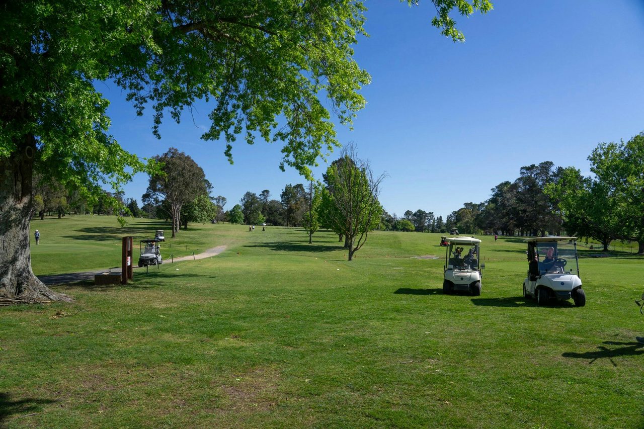 Golf course 2