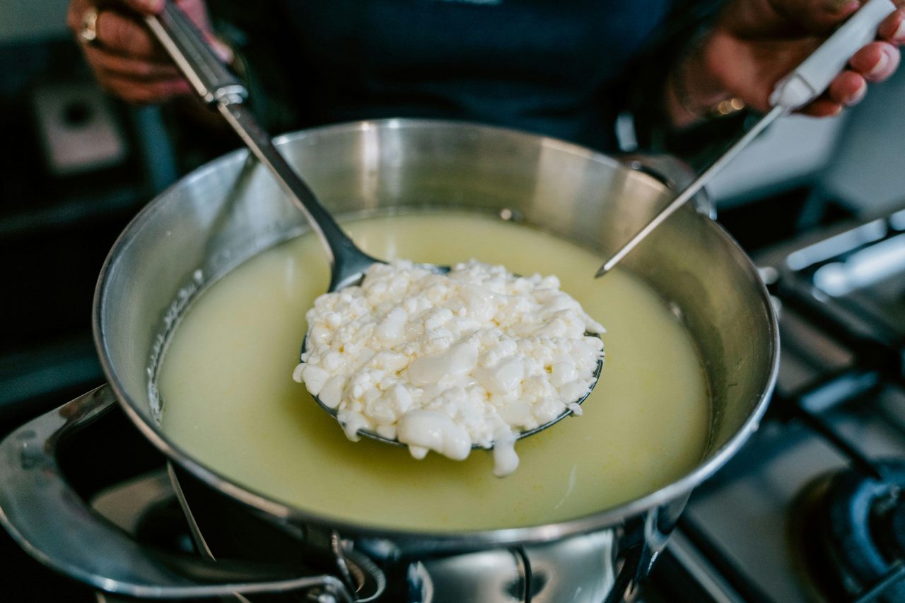 Cheese curds the making of Halloumi