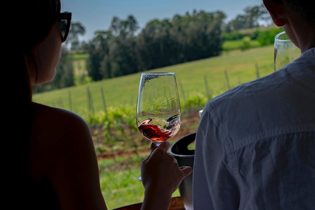 Enjoy great wines with a view of the vines