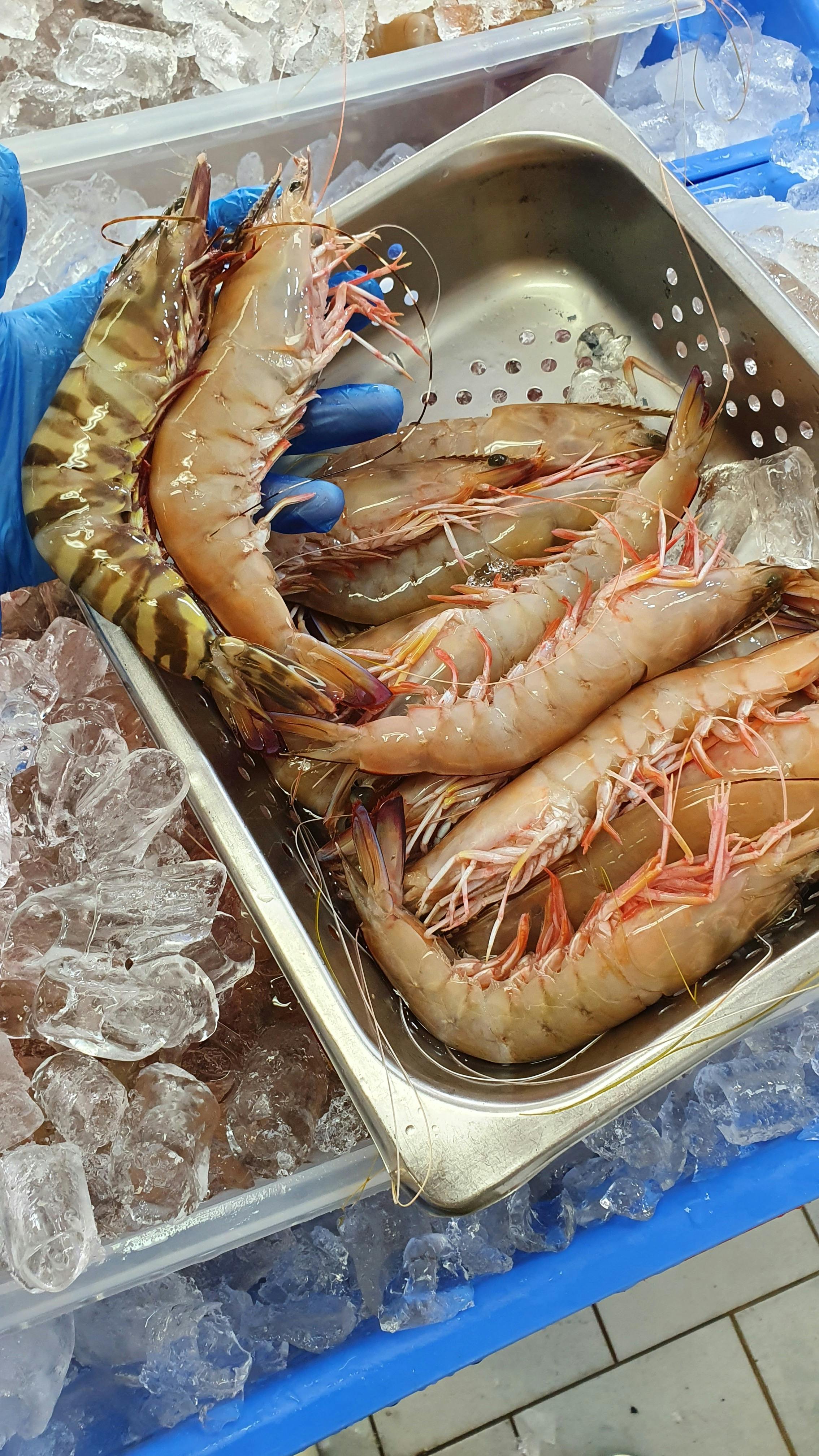 Ballina Fishermens Co-Op