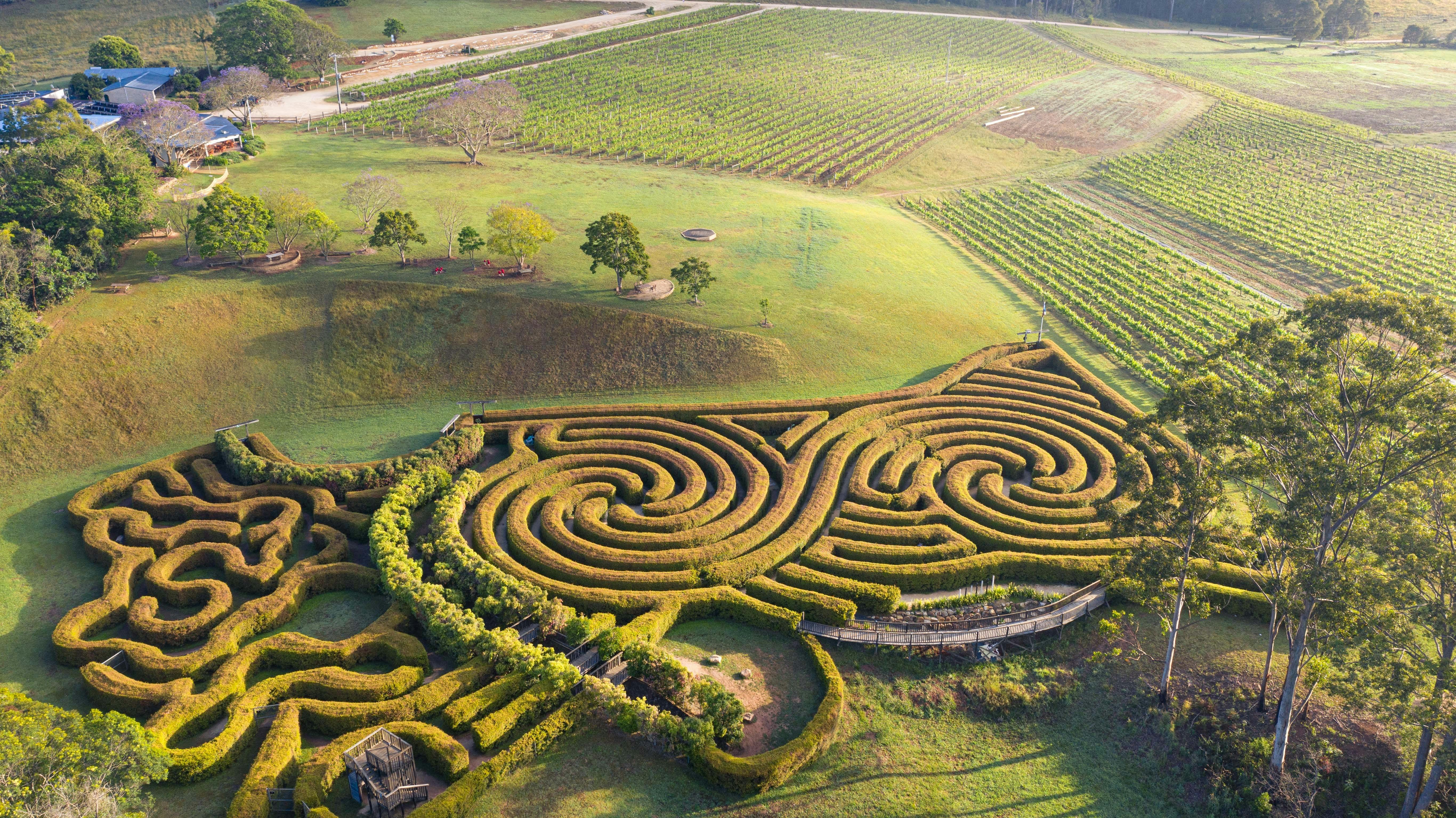 Bago Maze is set amongst picturesque vineyards and  rolling countryside