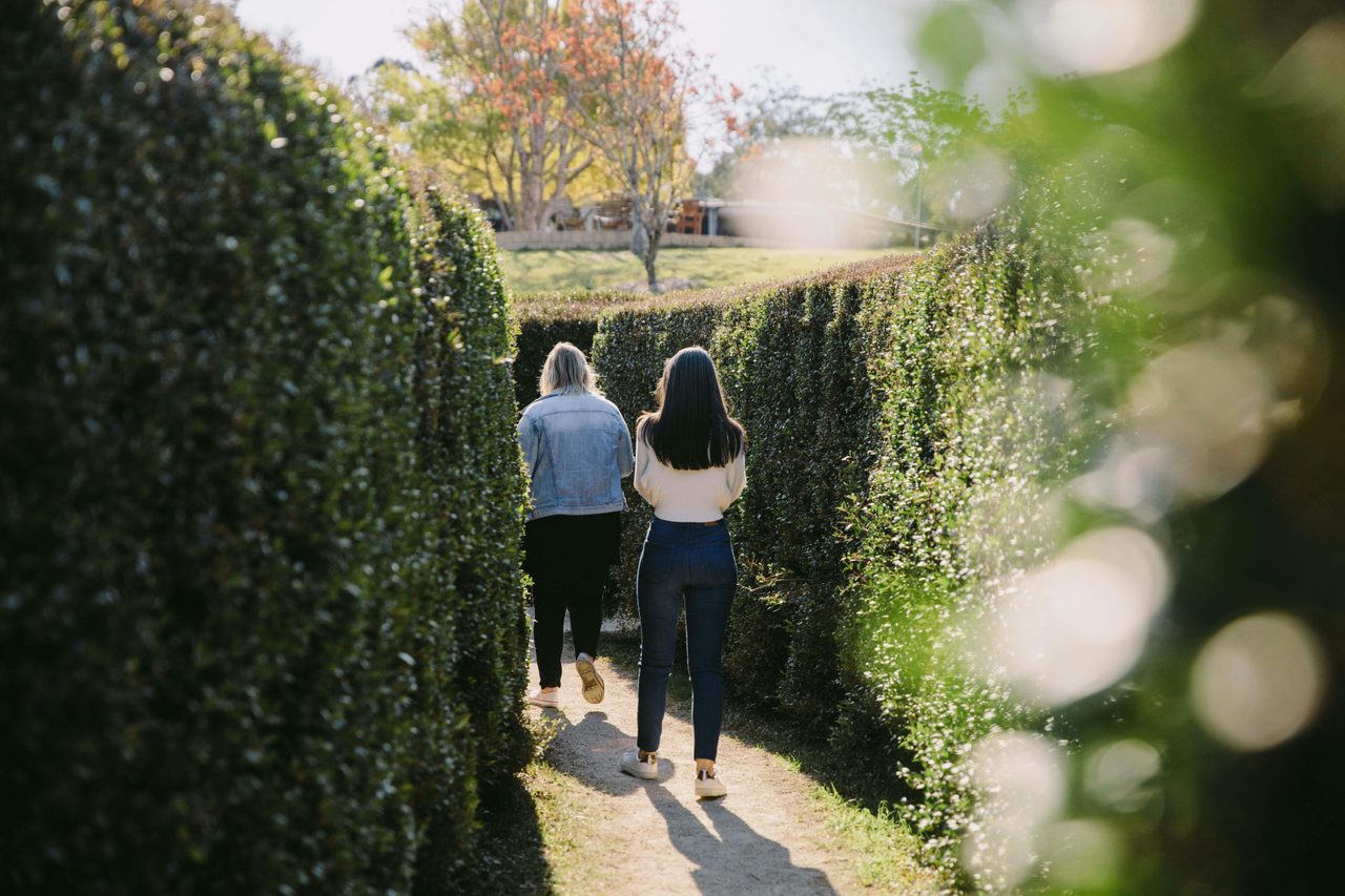 Maze